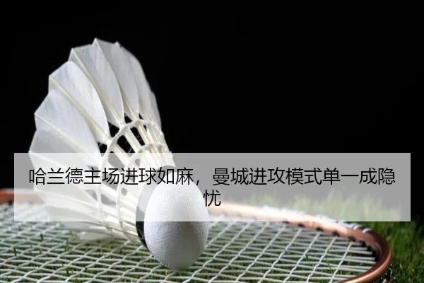 ha-lan-de-zhu-chang-jin-qiu-ru-ma-man-cheng-jin-gong-mo-shi-dan-yi-cheng-yin-you-2-998.jpg